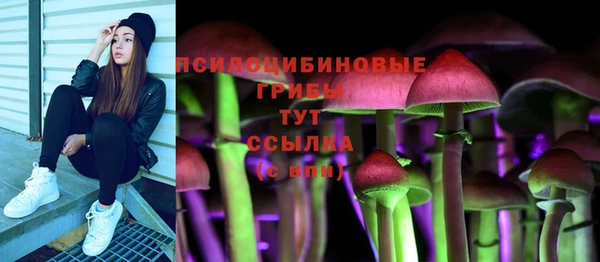 молекула духа Армянск