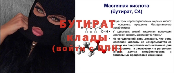 индика Ладушкин