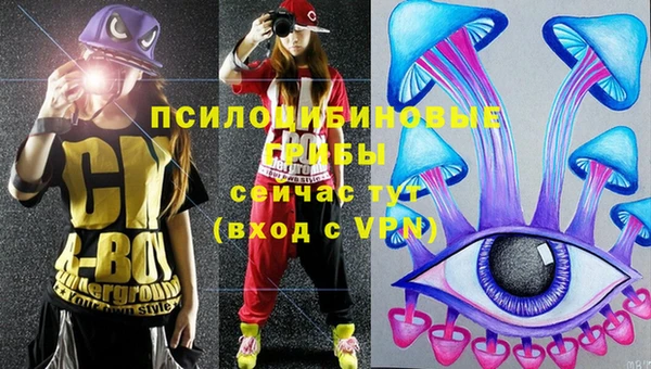 винт Арсеньев