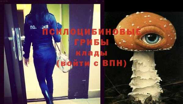 молекула духа Армянск