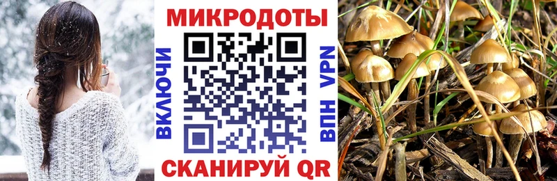 сколько стоит Истра Галлюциногенные грибы ЛСД